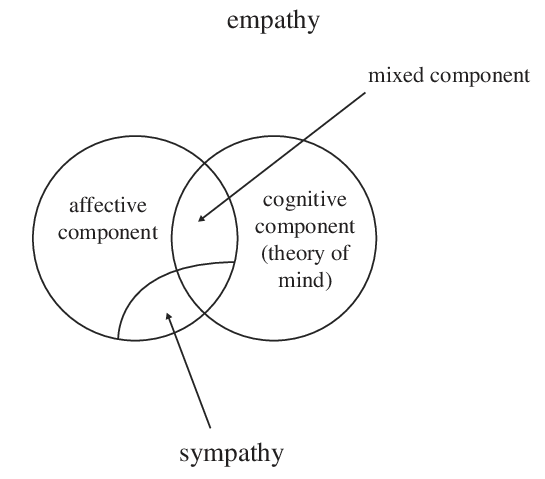 Fractions of empathy; adapted from Baron-Cohen & Wheelwright (2004).